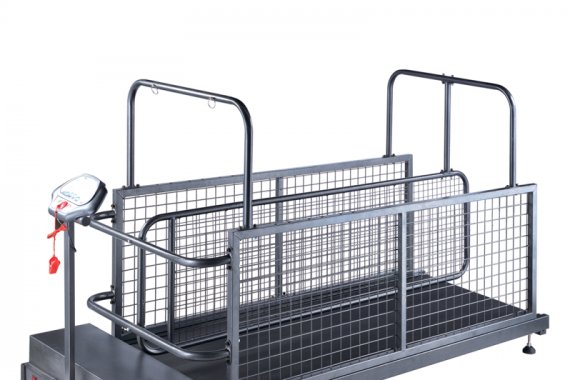 What are the benefits of a pet treadmill?